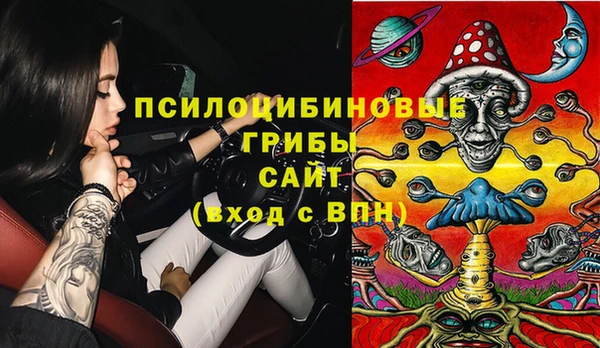 Альфа ПВП Алзамай