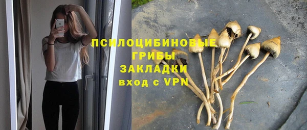 ПСИЛОЦИБИНОВЫЕ ГРИБЫ Алексеевка