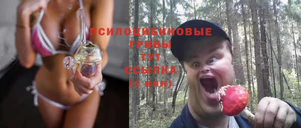 ПСИЛОЦИБИНОВЫЕ ГРИБЫ Алексеевка