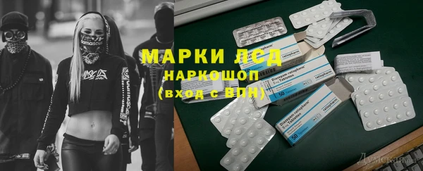 ПСИЛОЦИБИНОВЫЕ ГРИБЫ Алексеевка