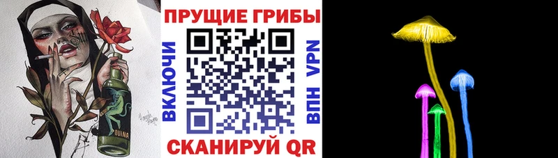 Галлюциногенные грибы MAGIC MUSHROOMS  где можно купить наркотик  Углич 